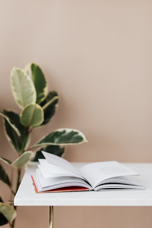 Free Open book on white table in library Stock Photo