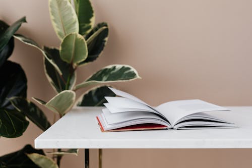 Free Book left open on white table in modern room with green ficus plants Stock Photo