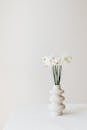 White daffodils in modern vase