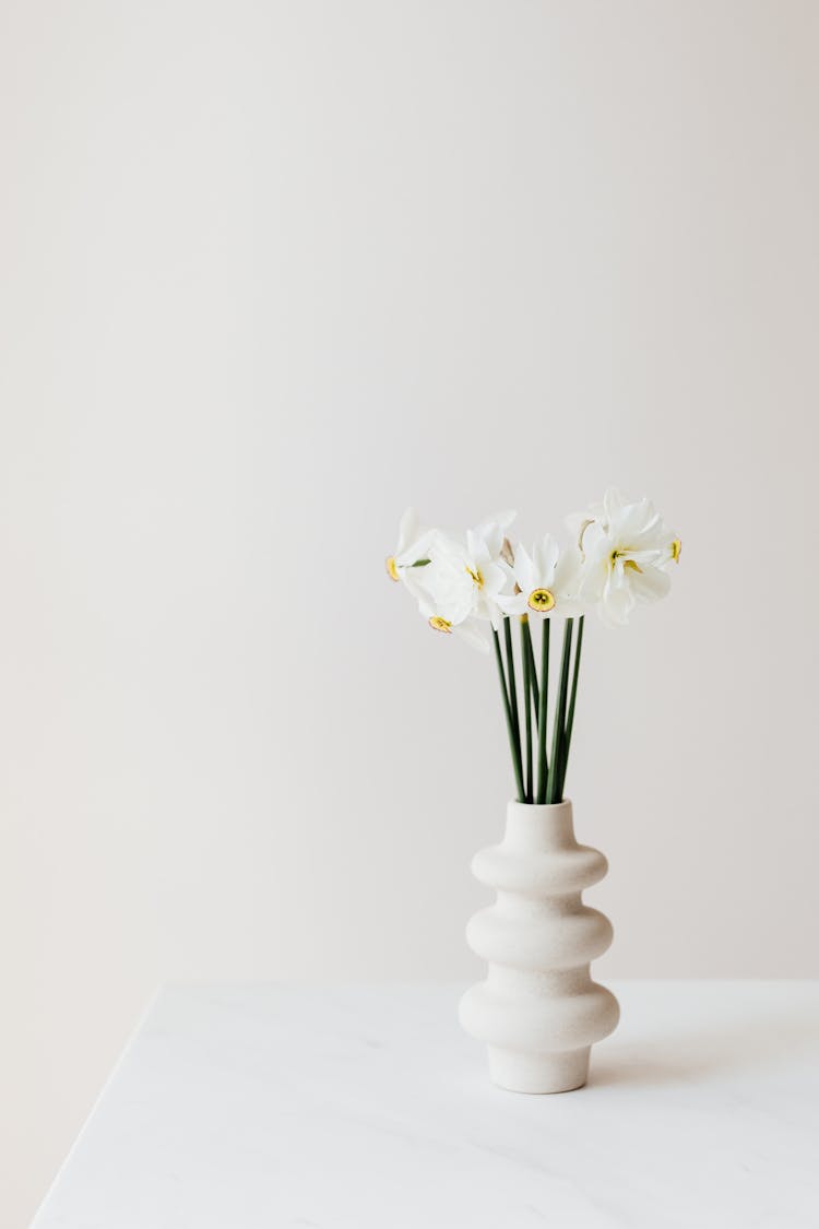 White Daffodils In Modern Vase