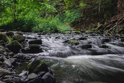 Free stock photo of nd8, smooth, sweden