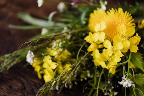 Yellow wildflowers and meadow grasses on table