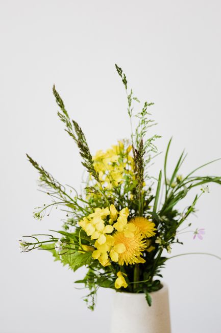 Small bouquet of rapeseed flowers and dandelions together with meadow grasses in white vase on white background