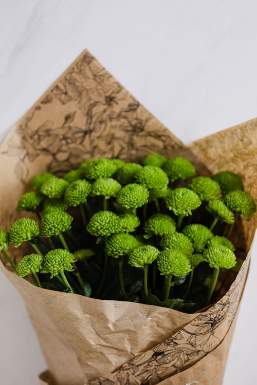 Bouquet of green craspedia wrapped in packaging