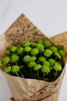 白色背景上，迷人的绿色花朵被装饰性的棕色纸包裹着