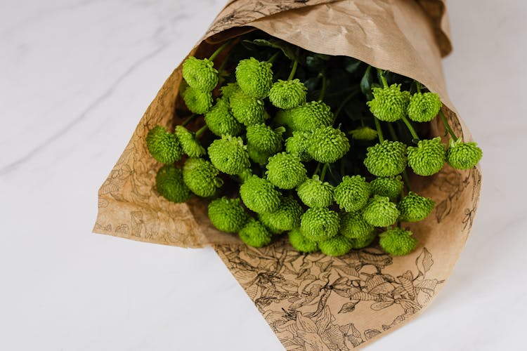 Bouquet Of Green Flowers On Table