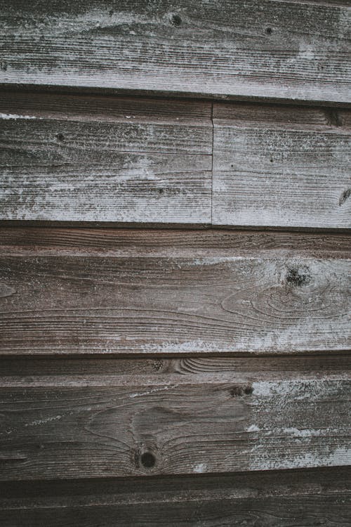 Free Timber outside wall of old rustic house Stock Photo