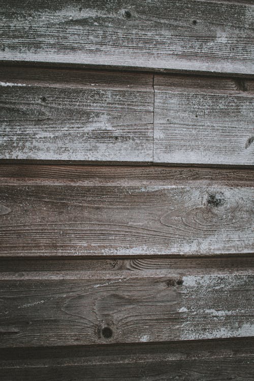 Timber outside wall of old rustic house · Free Stock Photo