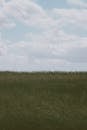 Grassy meadow against cloudy sky