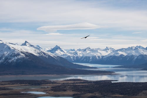 ฟรี คลังภาพถ่ายฟรี ของ ทะเลสาป, ธรรมชาติ, ธารน้ำแข็ง คลังภาพถ่าย