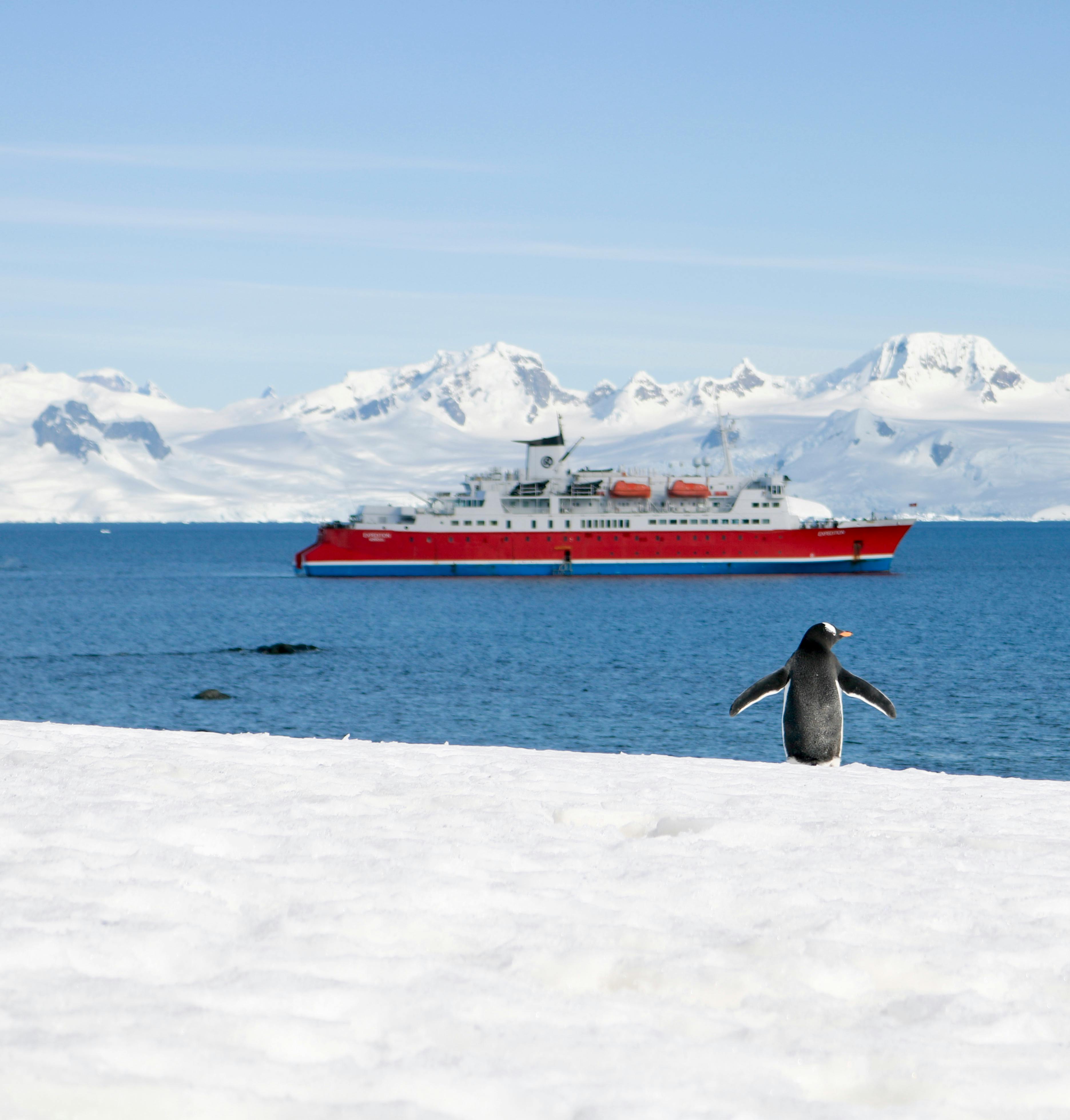 penguin on snowy coast near ship