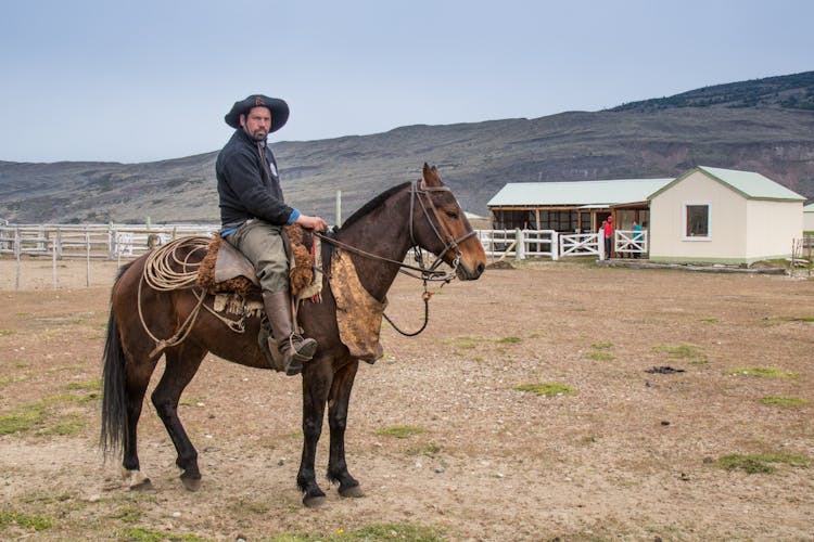 Ethnic Man Sitting On Horse On Ranch