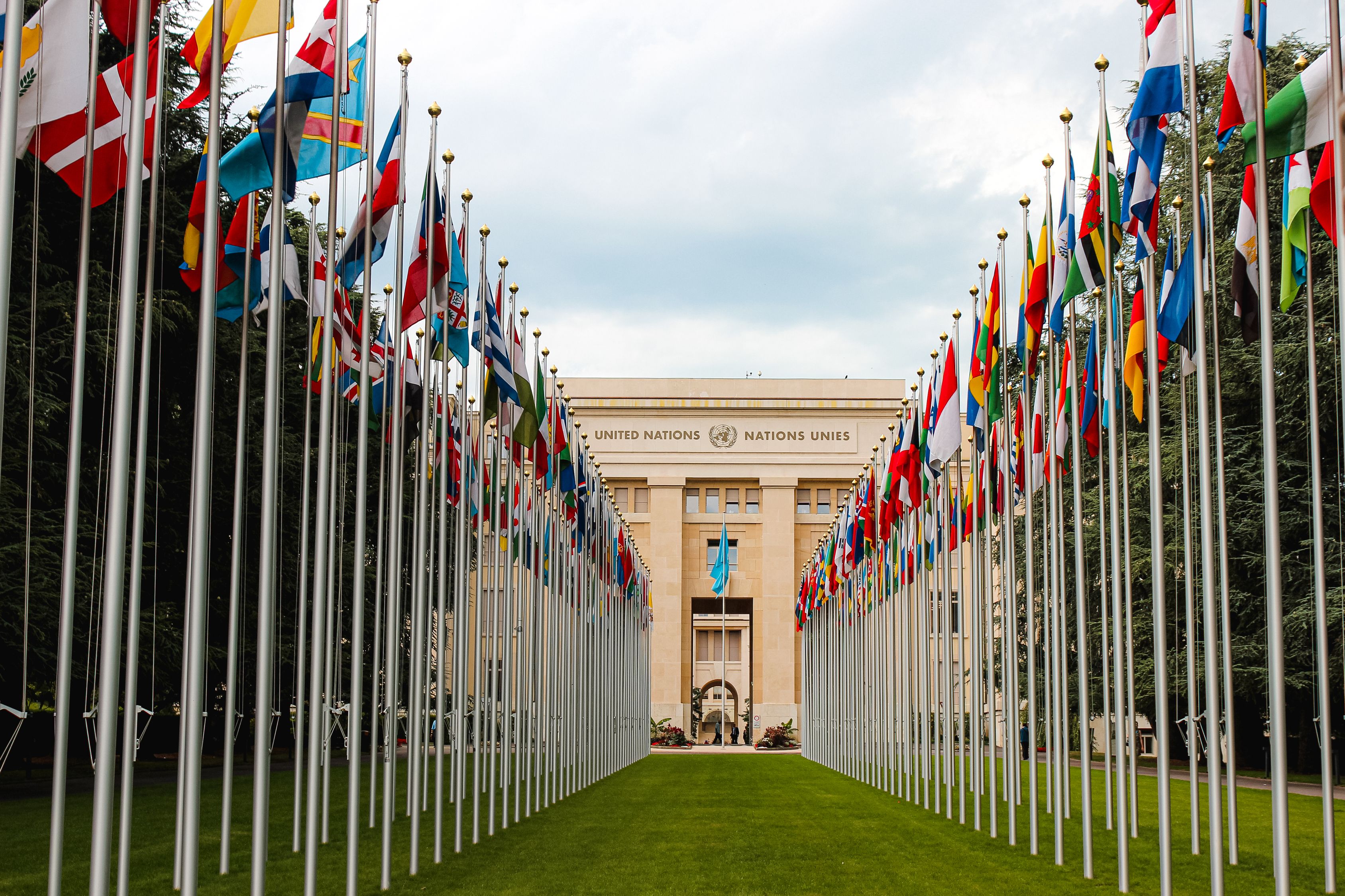 Flag of different countries UN members · Free Stock Photo