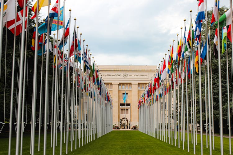 Flag Of Different Countries UN Members