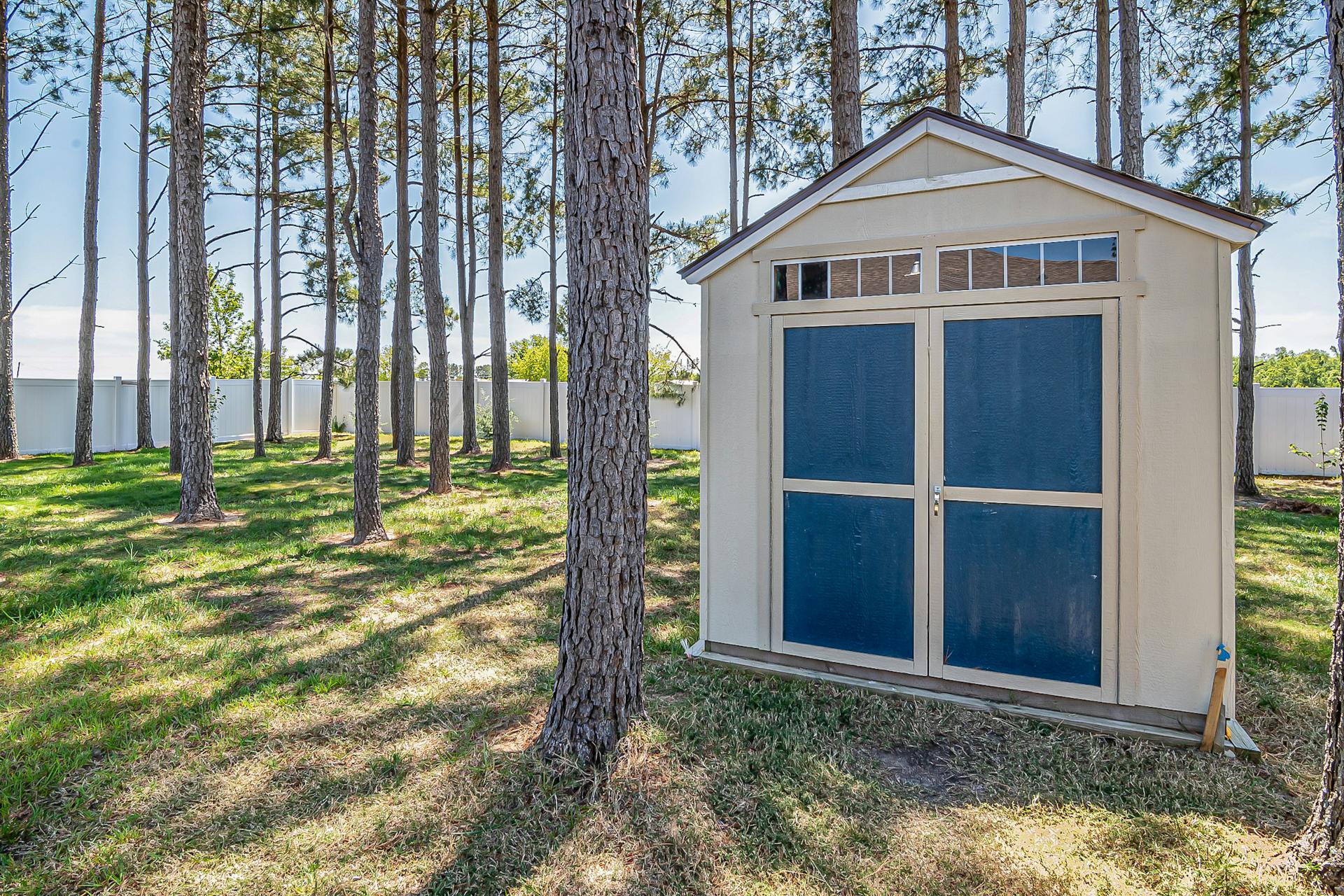 Little Summer Shed in Fenced Forest Terrain