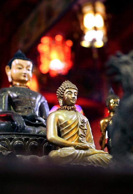 Free stock photo of buddha, Buddhism, buddhist
