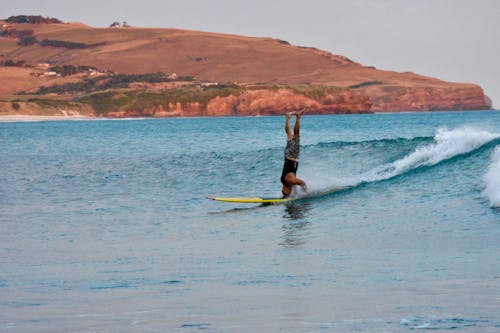 Free stock photo of beach, surfer