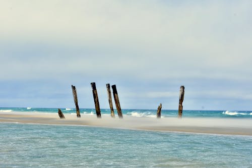 Free stock photo of beach, sticks, wind chime