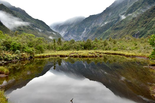 Serene reflection at Franz Josef Glacier, New Zealand, showcasing tranquil mountain scenery.