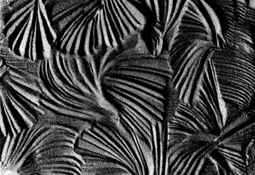 Monochrome Photo of Stripe Textile