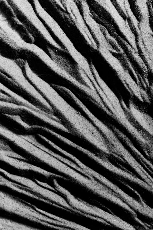 Free Close-Up Photo of a Wrinkled Gray Abstract Art Stock Photo