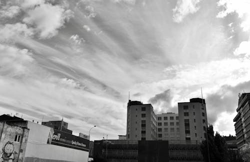 Free Grayscale Photo of High-Rise Buildings Stock Photo