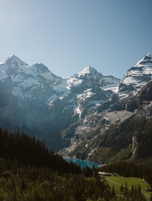 Photos gratuites de à feuilles persistantes, alpin, altitude