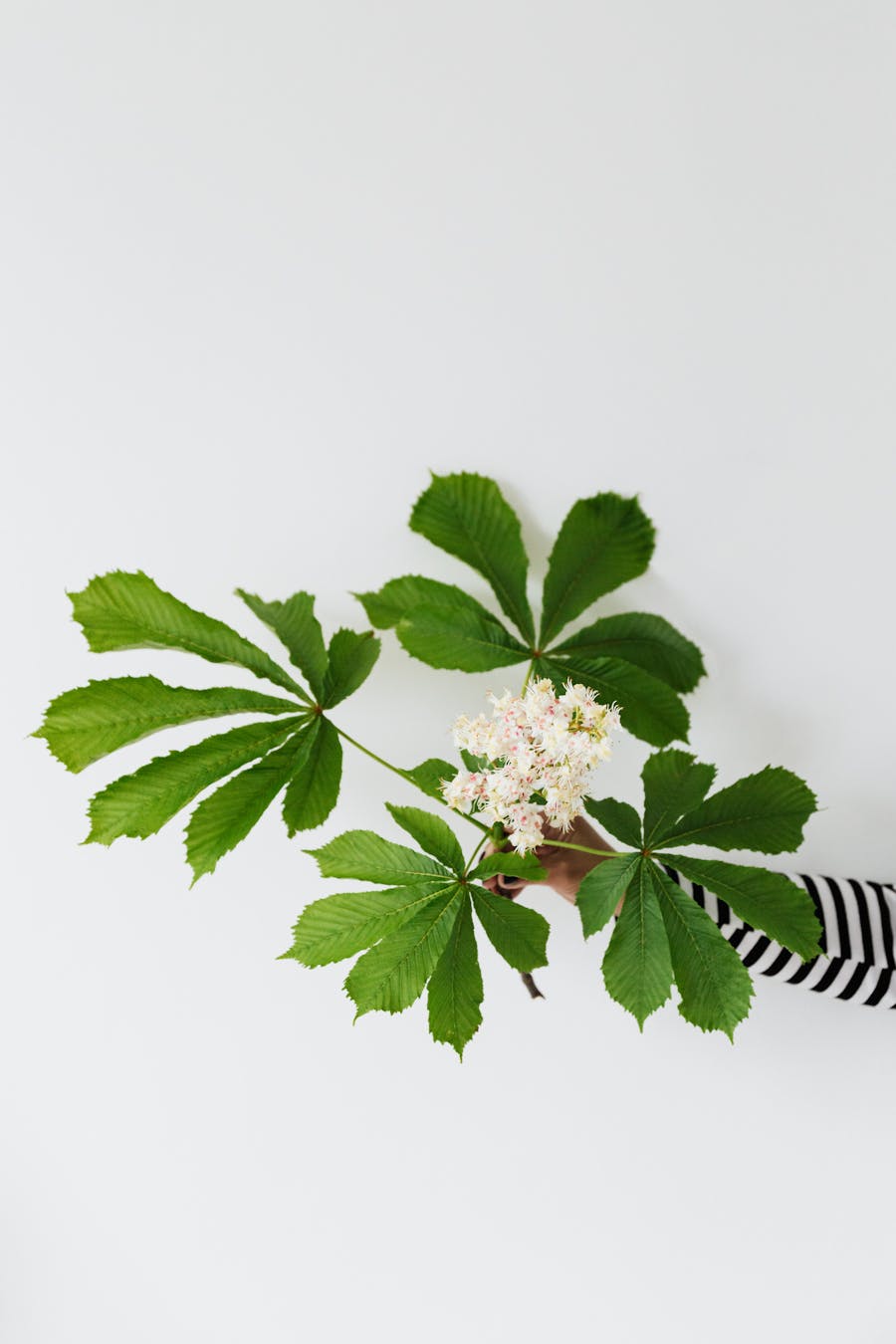 管理人员在电脑前查看生产制度比对报告