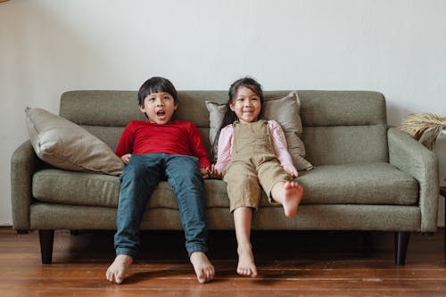 Kostenloses Stock Foto zu couch, drinnen, erholung