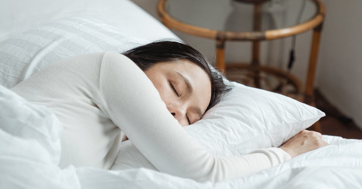 How do horses sleep at night