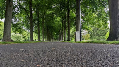 Daily supplement timing schedule for fertility