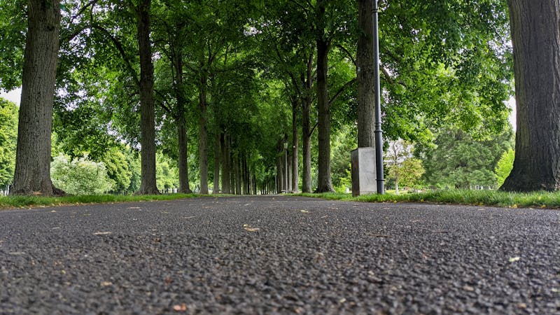 Daily supplement timing schedule for fertility