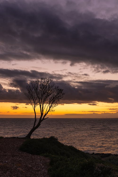 Photo of Seacoast at Sunset