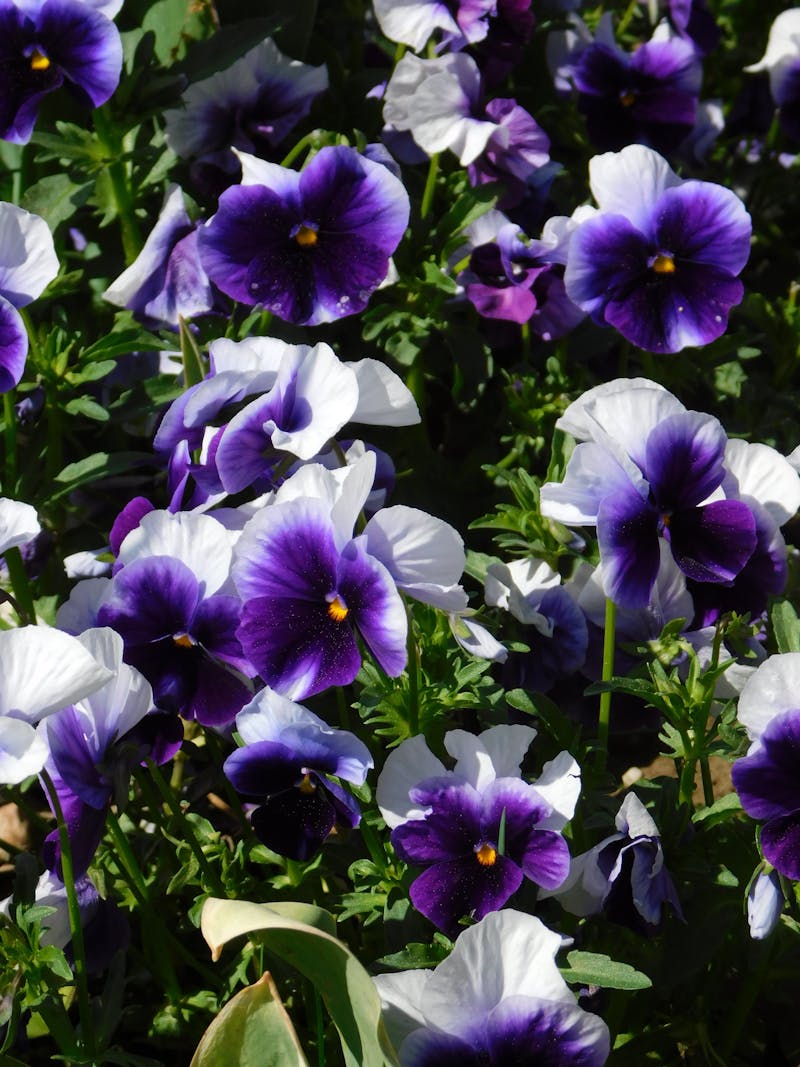 Solo parent family celebrating important milestones