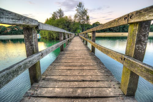 Brown Wooden Bridge Facing Tree