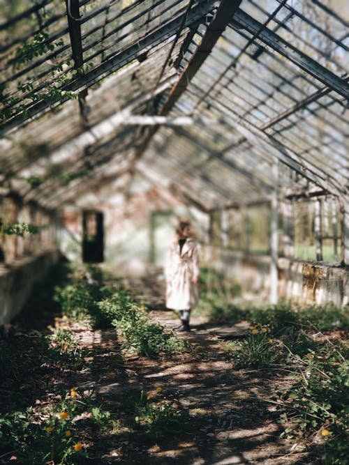 Free Person Standing in a Greenhouse Stock Photo