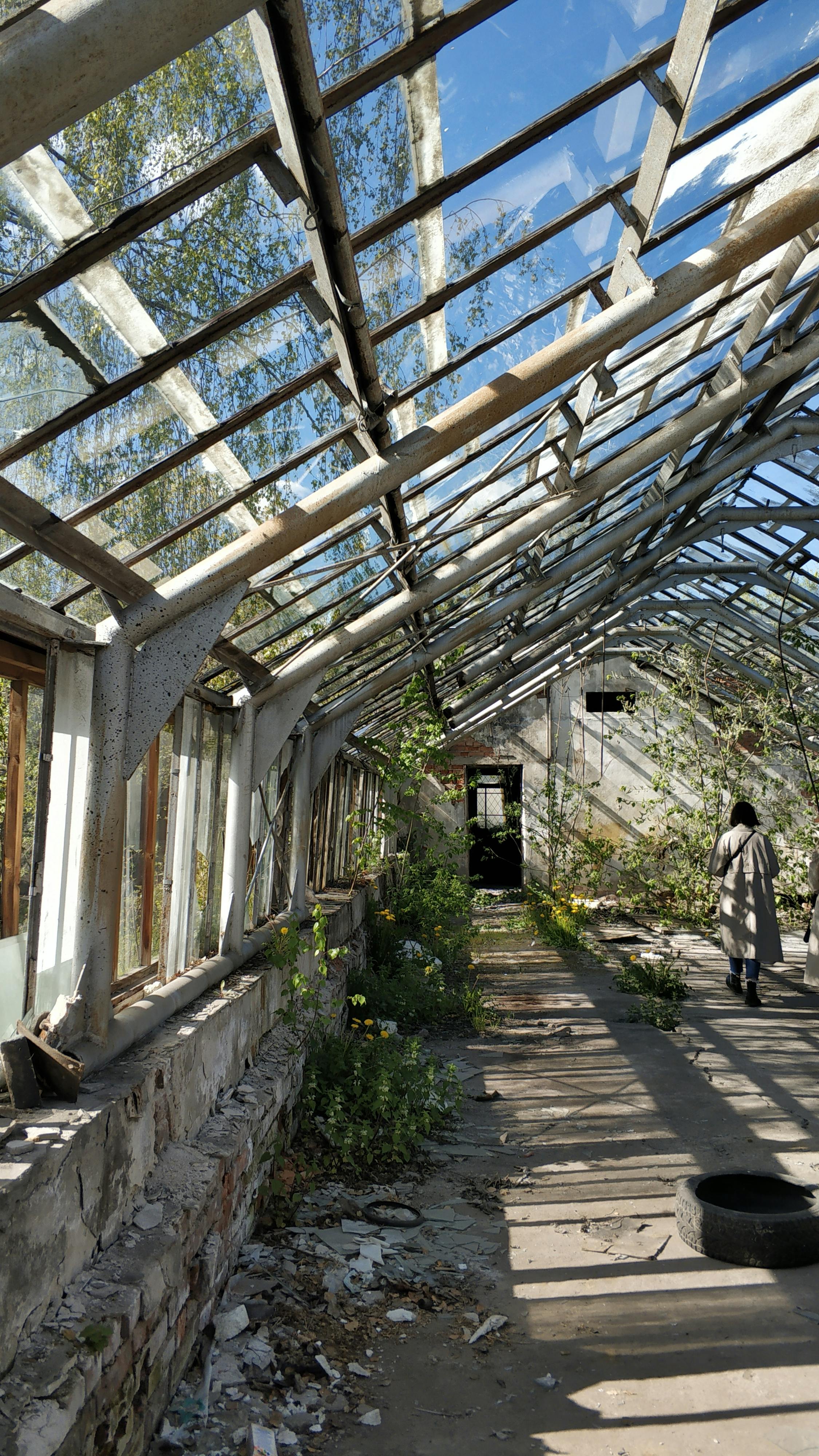 person in an abandoned greenhouse
