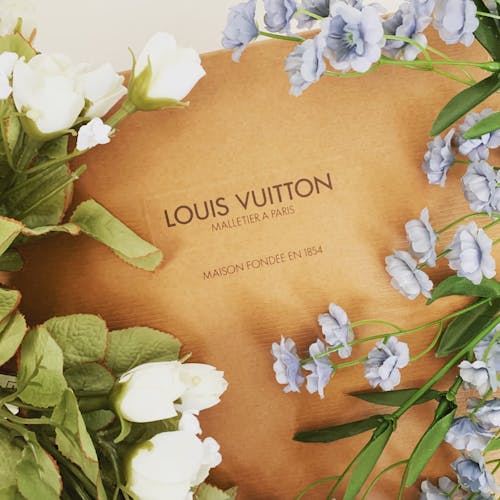 White and red Supreme X Louis Vuitton duffel bag photo – Free Novi sad  Image on Unsplash