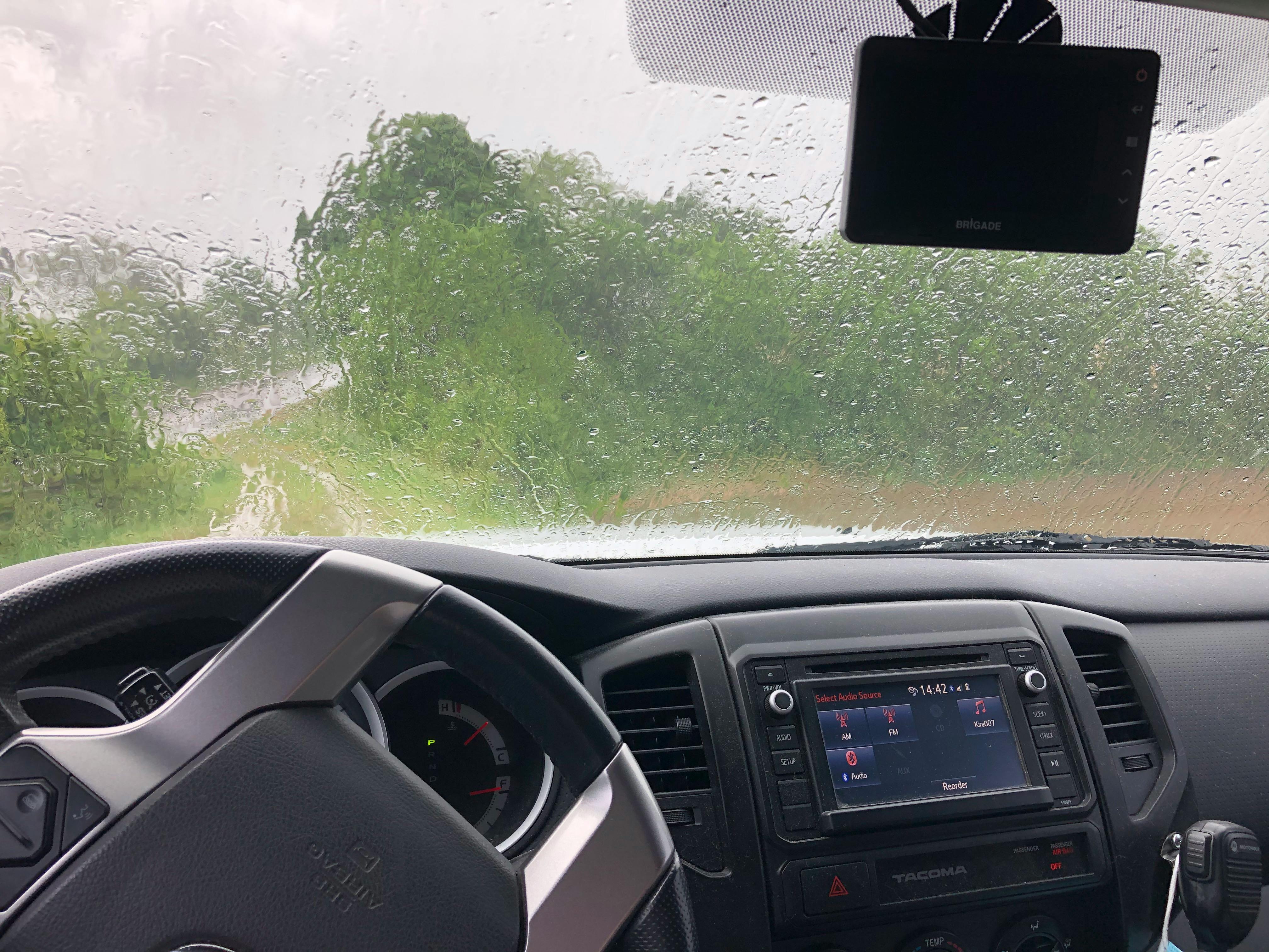Family walking together in a park after dinner.
