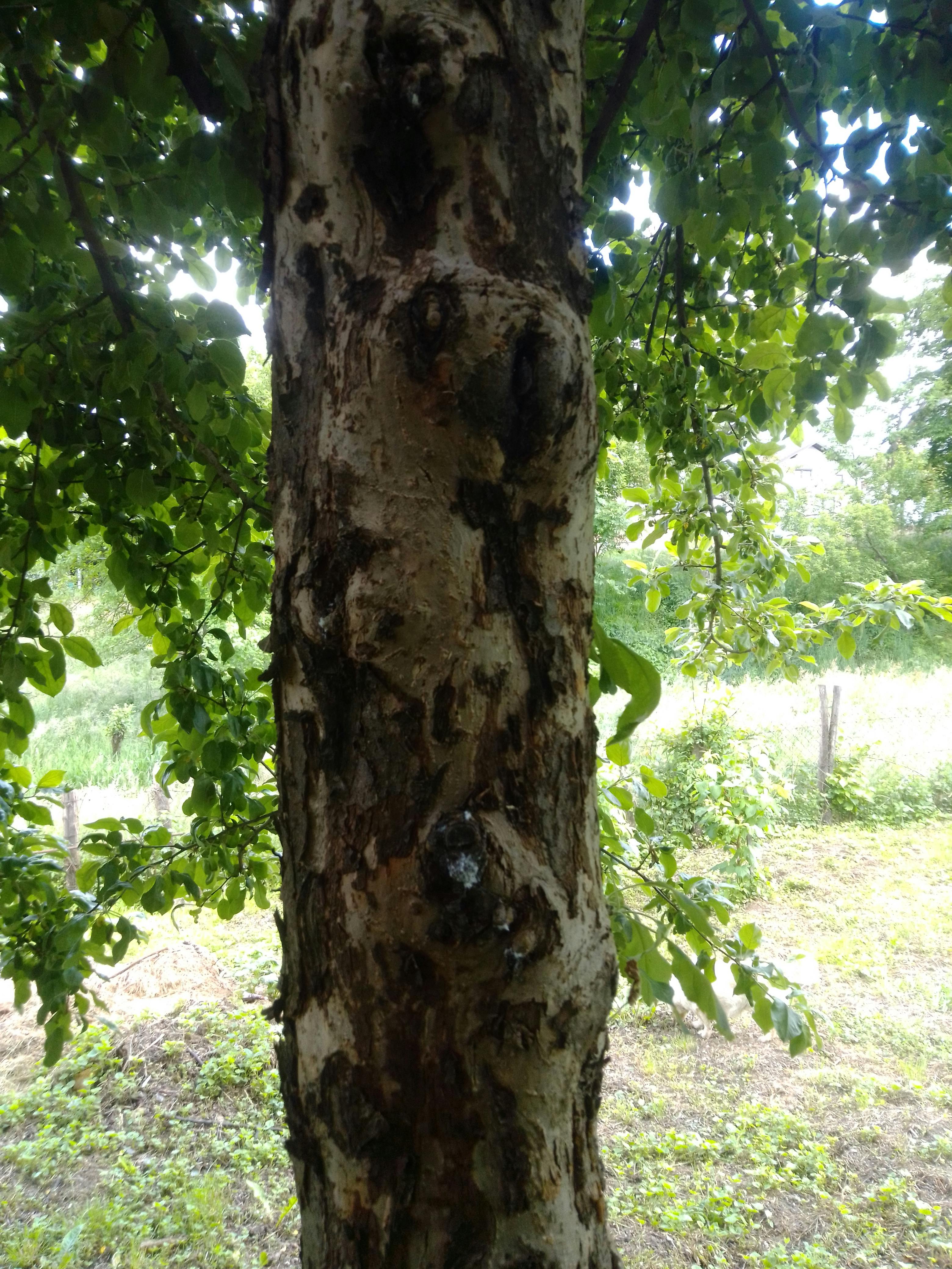 Data scientist analyzing programming data with complex graphics and analysis.