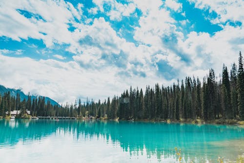 Photo of Lake Under White Clouds