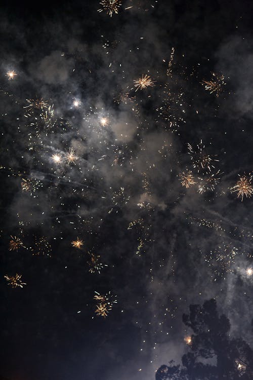 Free stock photo of firework, fireworks, fireworks display