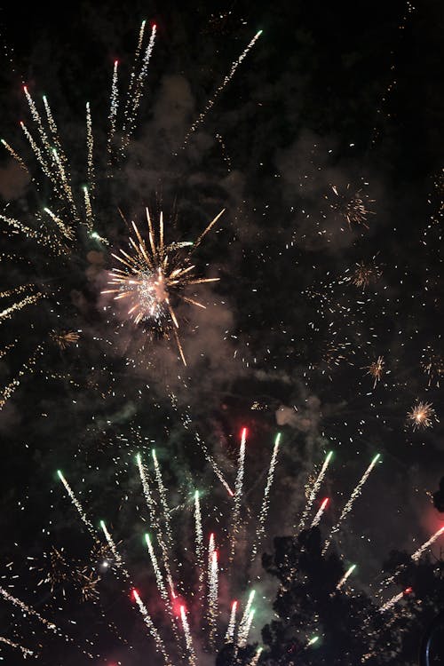 Free stock photo of firework, fireworks, fireworks display