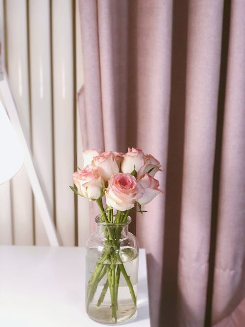Free Glass vase with water and bunch of fresh roses placed on table in cozy room Stock Photo