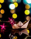 Paper boat on water in garden