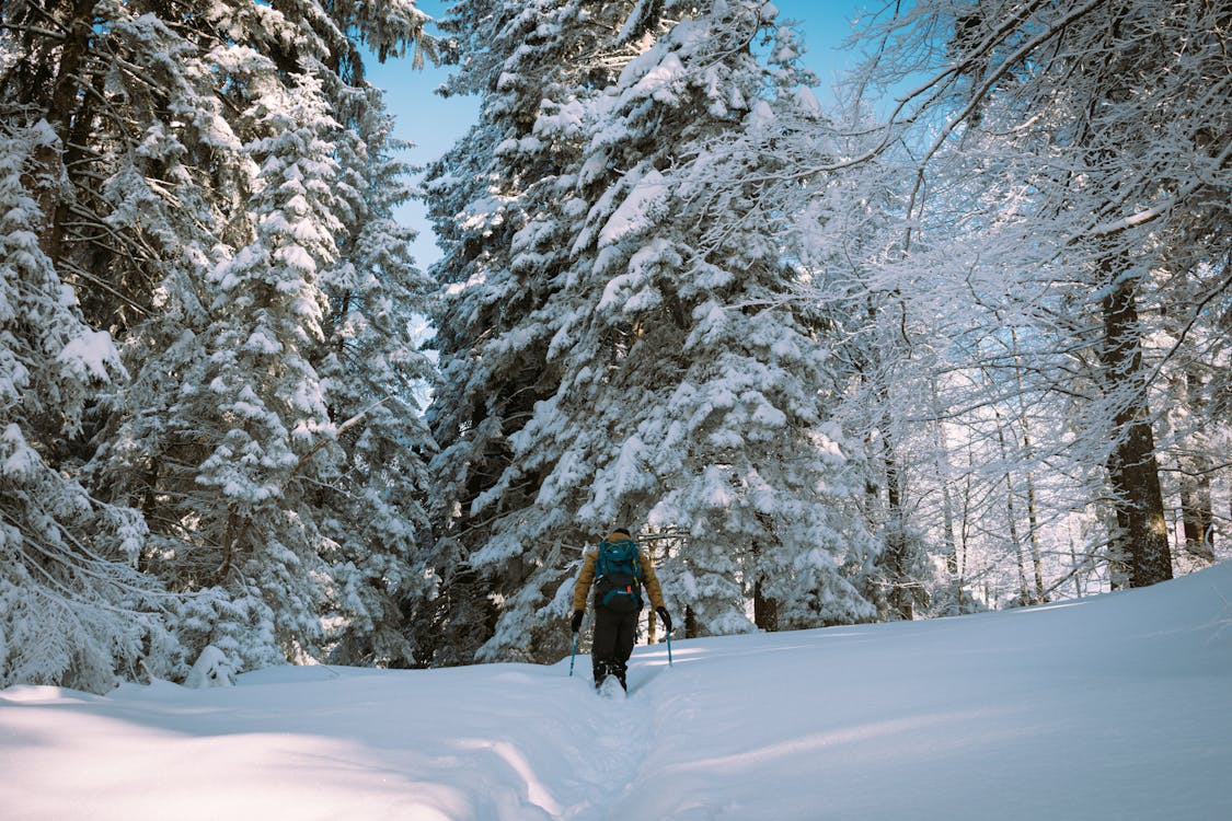 Back View of a Person in Winter Clothes Walking on Snow Covered Ground