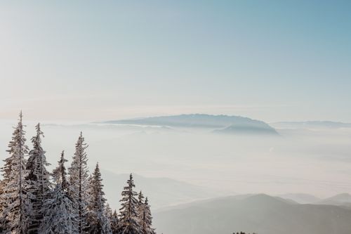 Free Serene winter view of the Bucegi Mountains shrouded in mist and snow-covered trees. Stock Photo