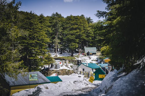 Foto profissional grátis de himachal pradesh