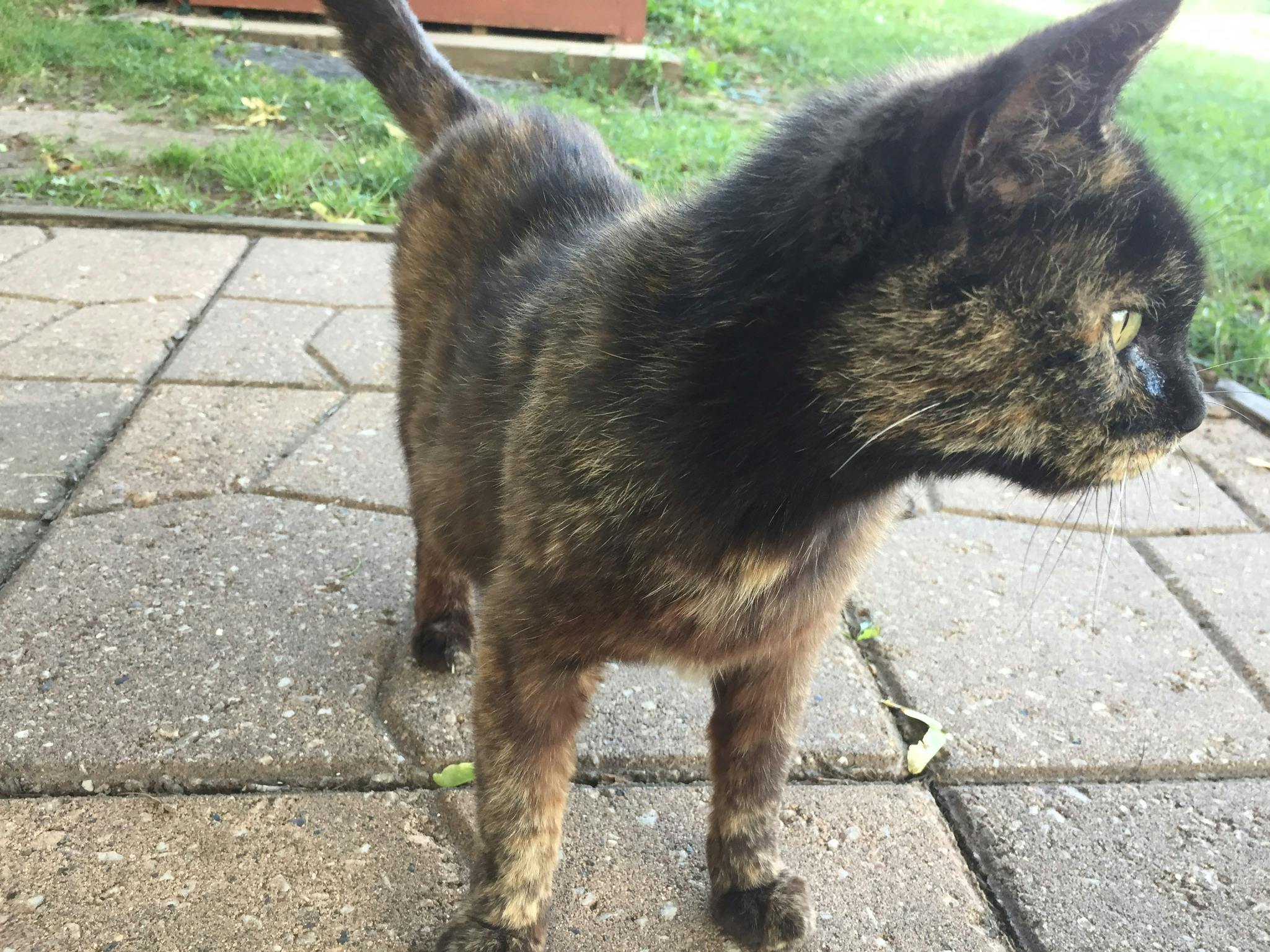 هناجر صناعية