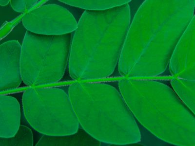 Liquide de refroidissement antigel : protection moteur et performance thermique